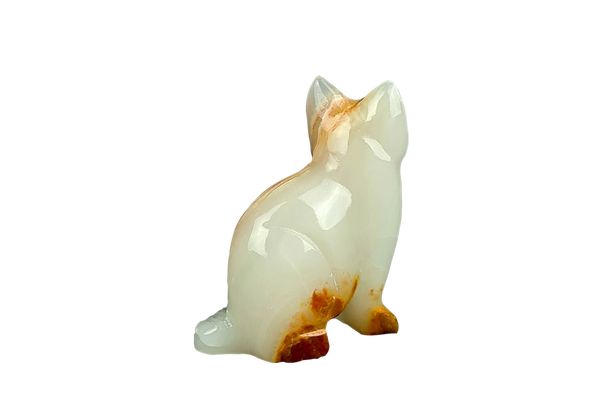 Onyx Kitty