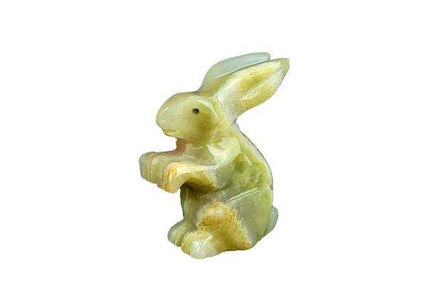 Onyx Bunny Rabbit