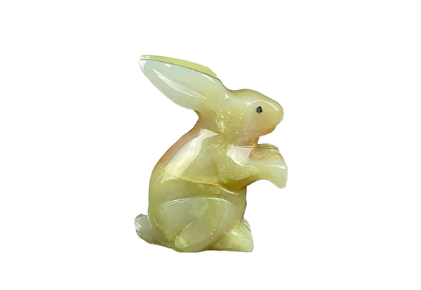 Onyx Bunny Rabbit