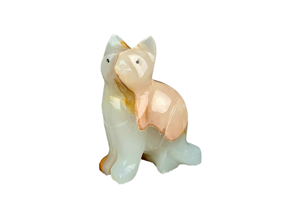 Onyx Kitty
