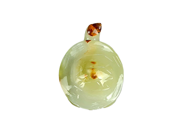 Onyx White Turtle with brown Head