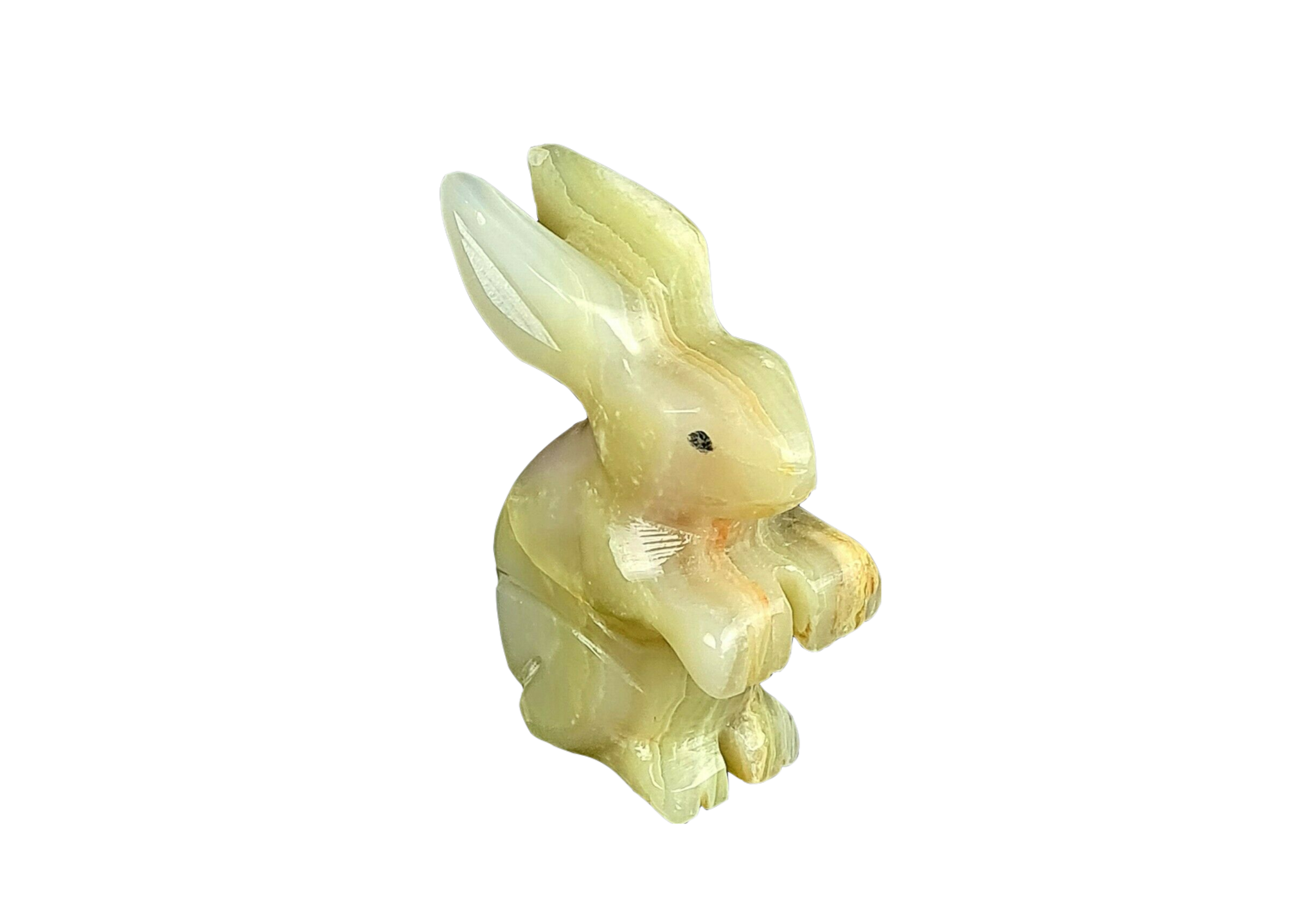 Onyx Bunny Rabbit