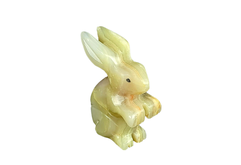 Onyx Bunny Rabbit
