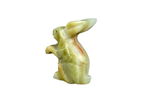 Onyx Bunny Rabbit