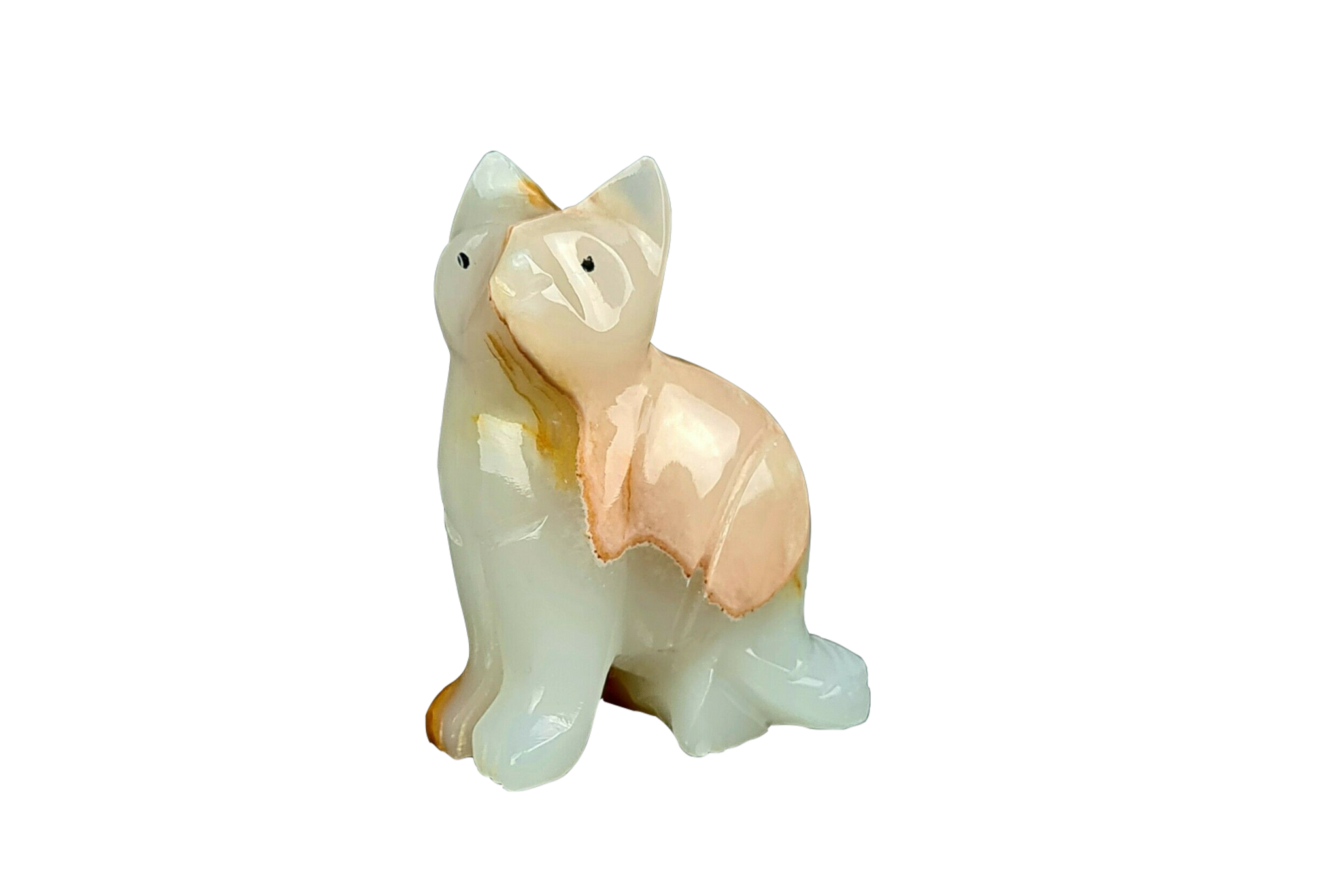 Onyx Kitty