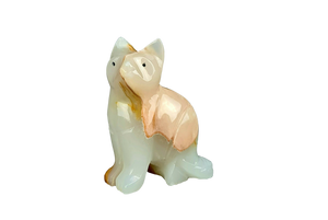 Onyx Kitty