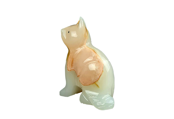 Onyx Kitty