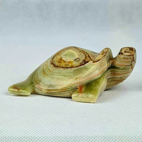 Onyx Turtle