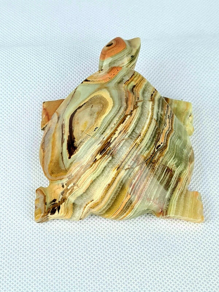 Onyx Turtle