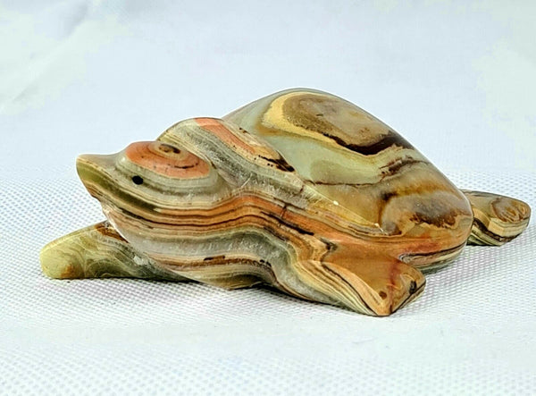 Onyx Turtle