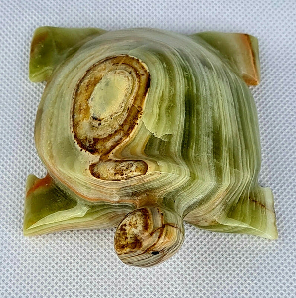 Onyx Turtle