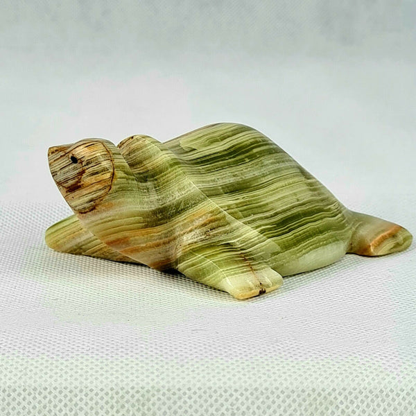 Onyx Turtle