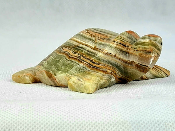 Onyx Turtle